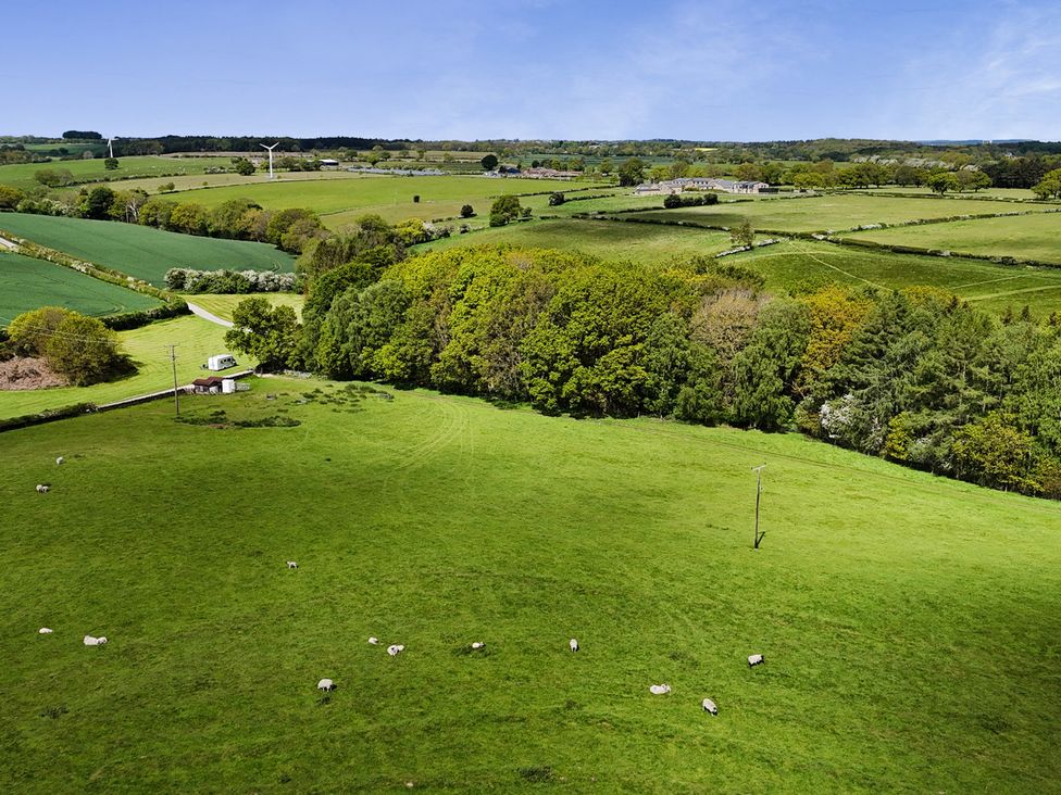 A landscape with sheep grazing in fields near trees and a wind turbine at Ploughman's Rigg in Follifoot near Spofforth