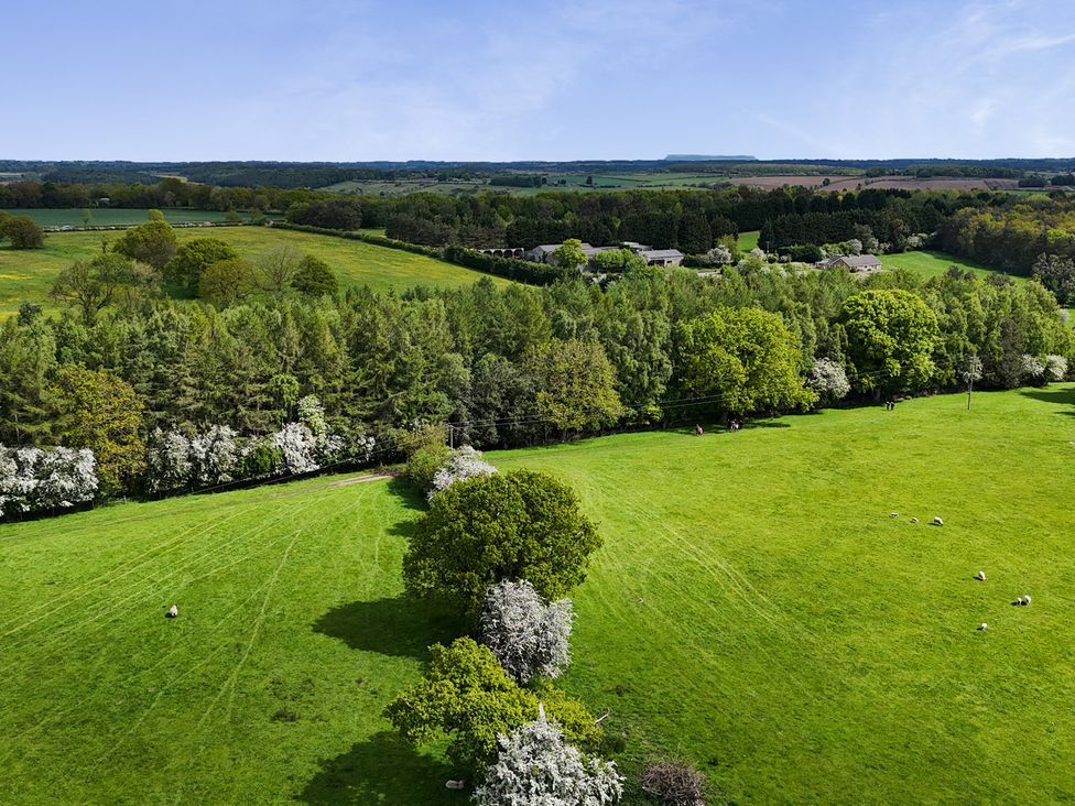 A green field with trees and sheep at Miller's Wheel in Spofforth