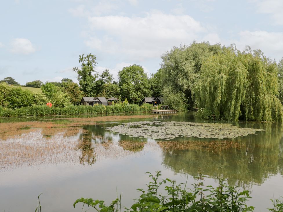 A pond with lily pads and cabins at Acorn Lodge At Bridge Lake Farm & Fishery Chacombe