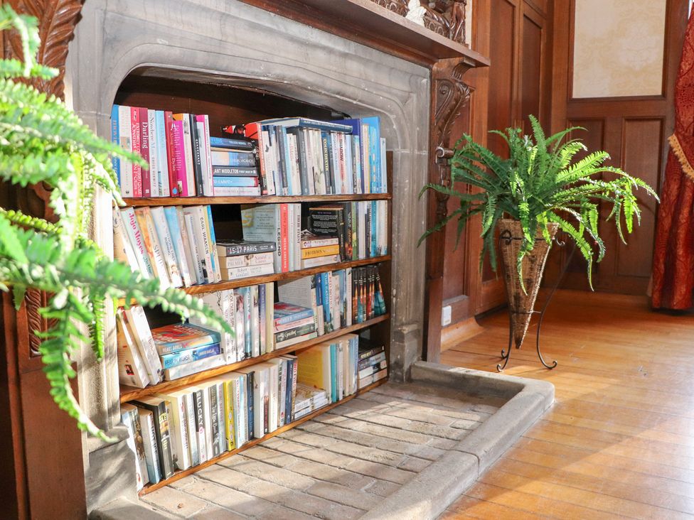A bookshelf with books and a fern near a fireplace at Auchentroig House, Buchlyvie