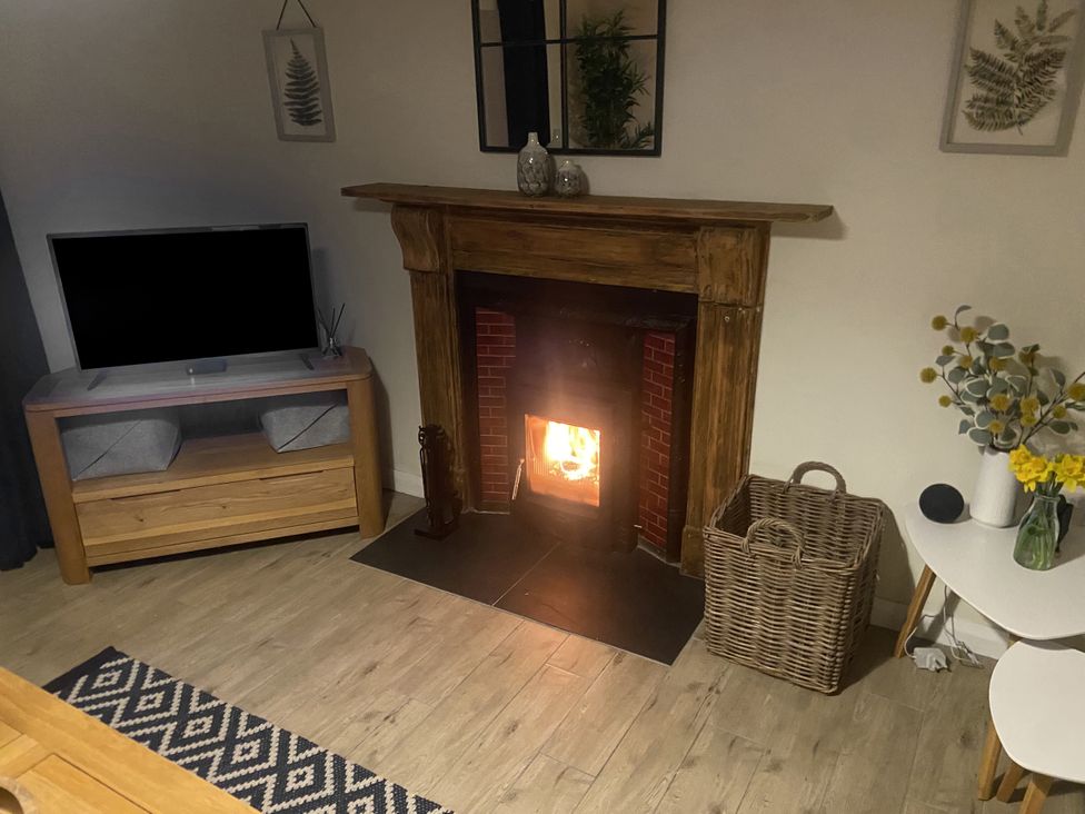 A living room with a fireplace and television stand at Awelfa in Newport, Pembrokeshire