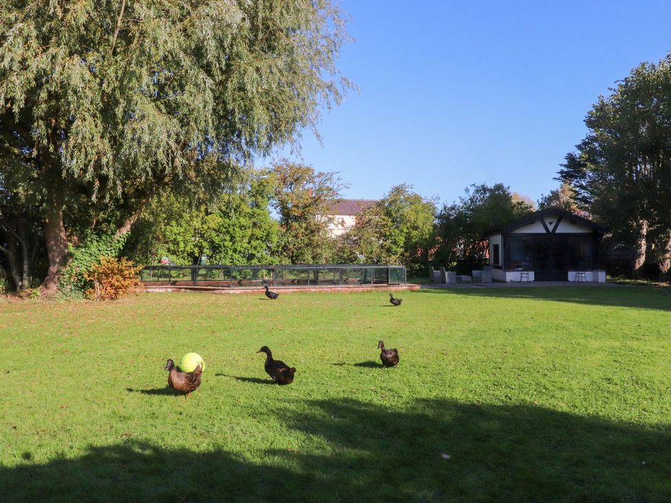 A garden with ducks and a house at Mayfield Cottage in Blackpool