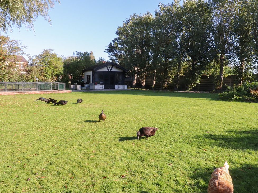 A garden with birds on grass at Mayfield Cottage in Blackpool