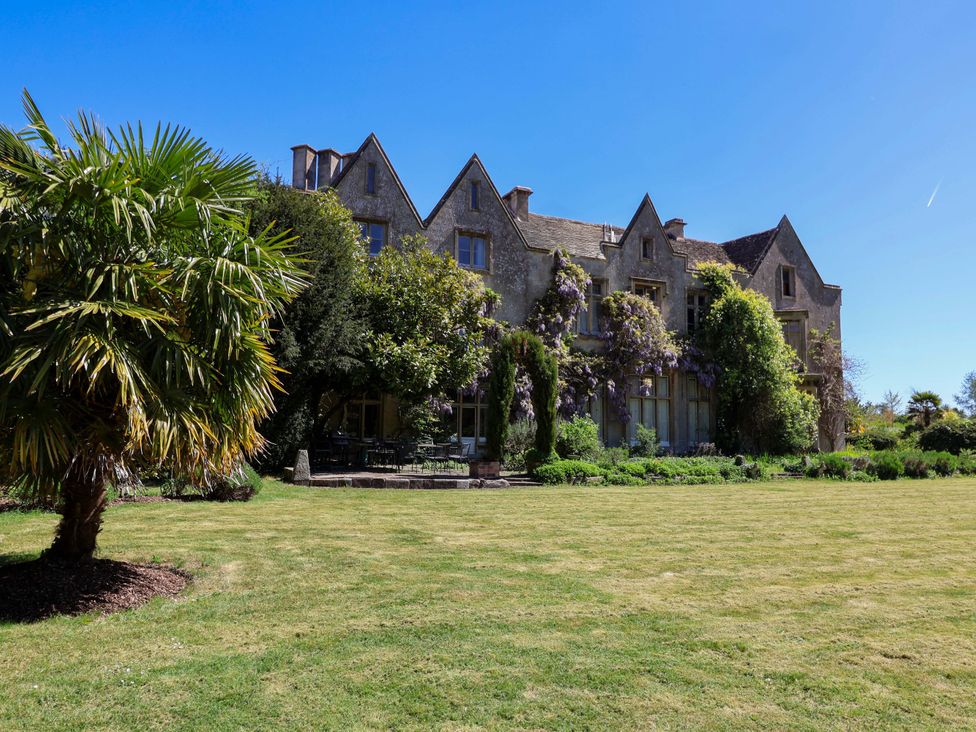 A garden with a house and palm tree at The West Wing