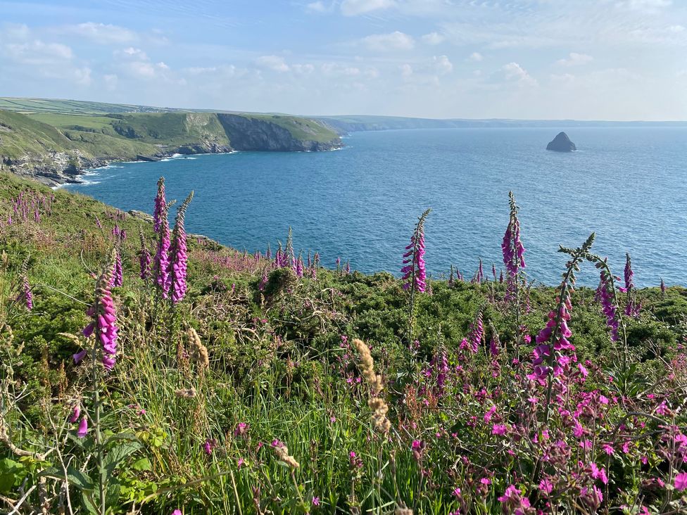 Merlins Cottage - Cornwall - 1048526 - thumbnail photo 59