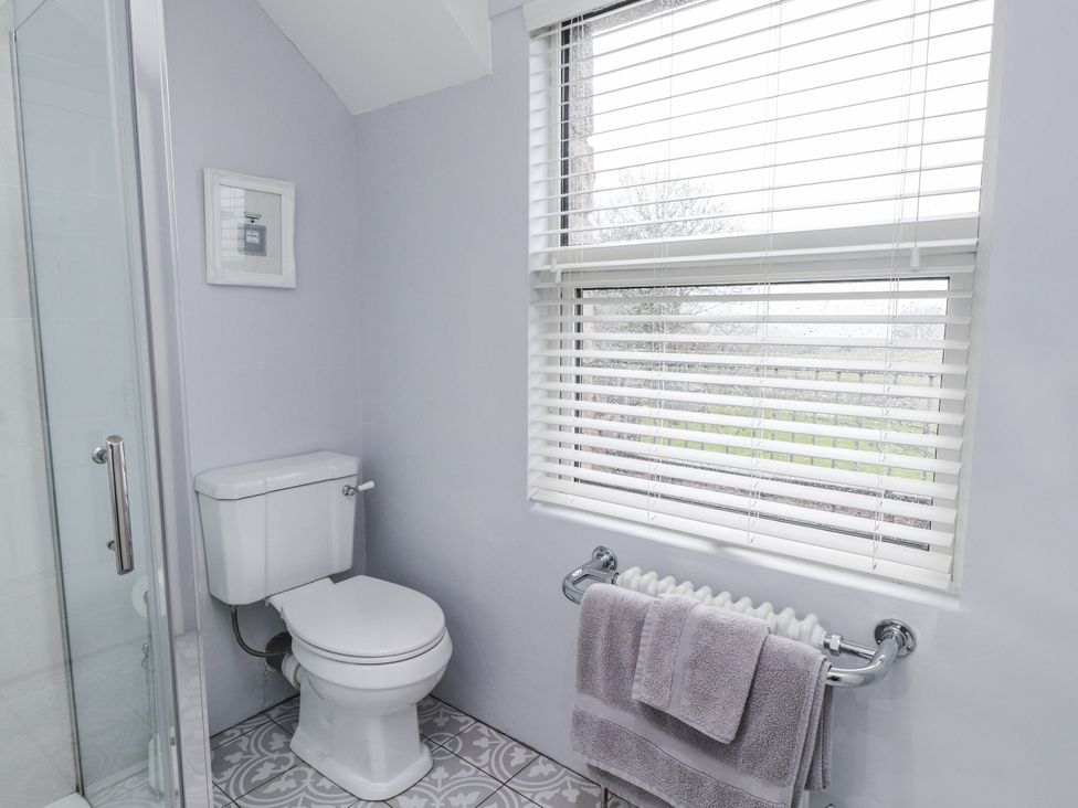 A bathroom with a toilet and shower at The Wren in Llysfaen