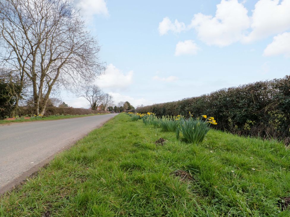 A roadside with grass and daffodils at Kingfisher Corner in Little Kelk near Bridlington