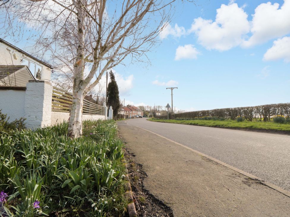 A view of a road with trees and bushes at The Stables in Little Kelk near Bridlington