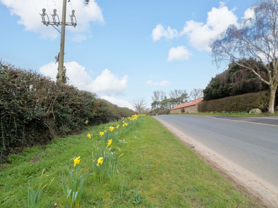 A roadside with daffodils and a telephone pole at The Stables in Little Kelk near Bridlington