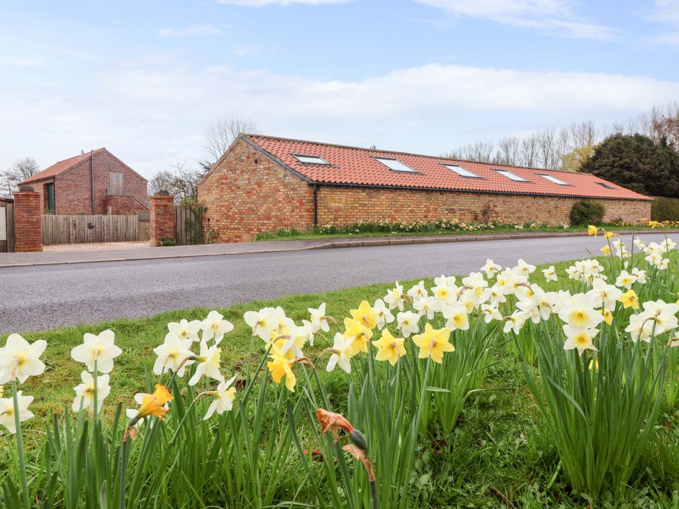 A view of buildings and daffodils along a road at The Stables in Little Kelk near Bridlington