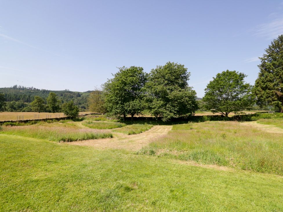 An open field with trees and a pathway at Windermere at the Graythwaite Estate near Hawkshead