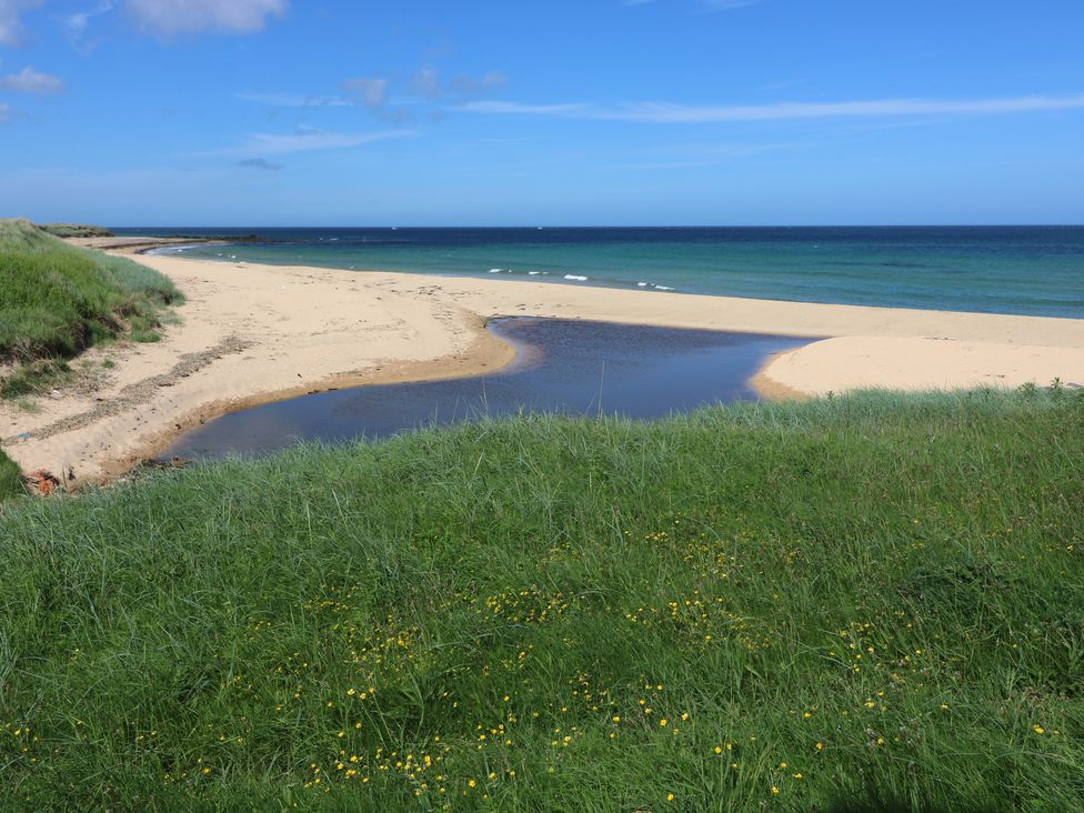 Bella's Beach Cottage - Scottish Lowlands - 1050072 - thumbnail photo 29