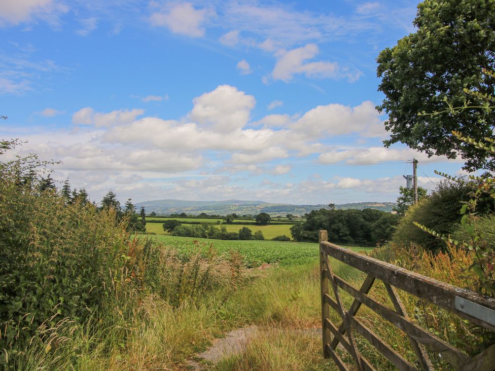 The Park - Shropshire - 1050160 - thumbnail photo 26