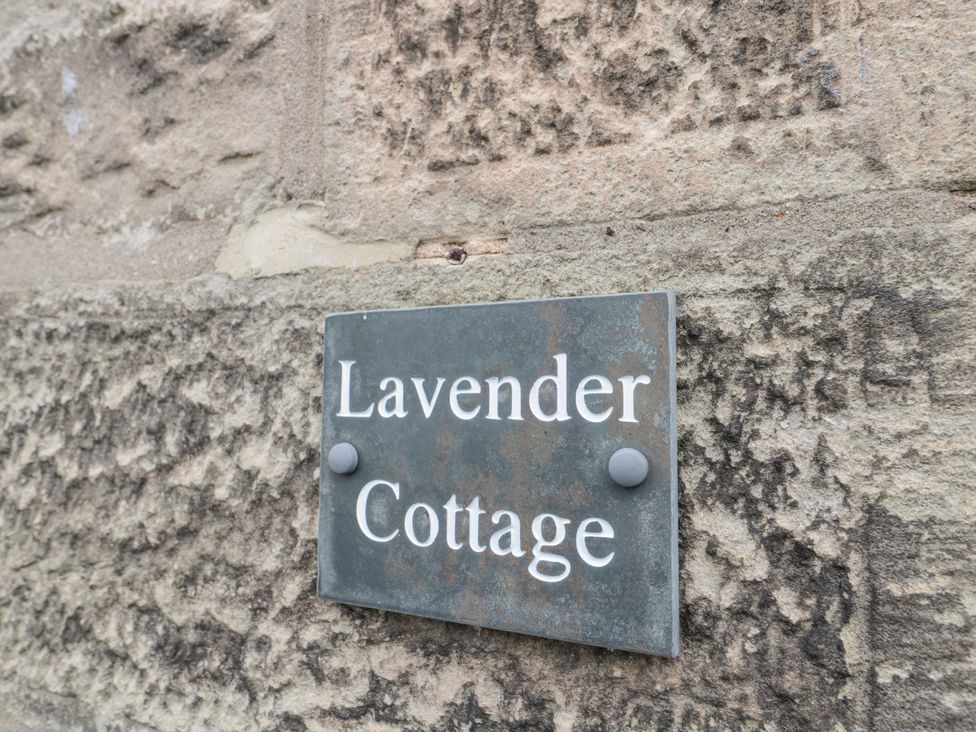 Lavender Cottage - Northumberland - 1050279 - thumbnail photo 2