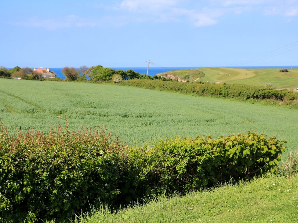 4 Thurlestone Beach House - Devon - 1050625 - thumbnail photo 22