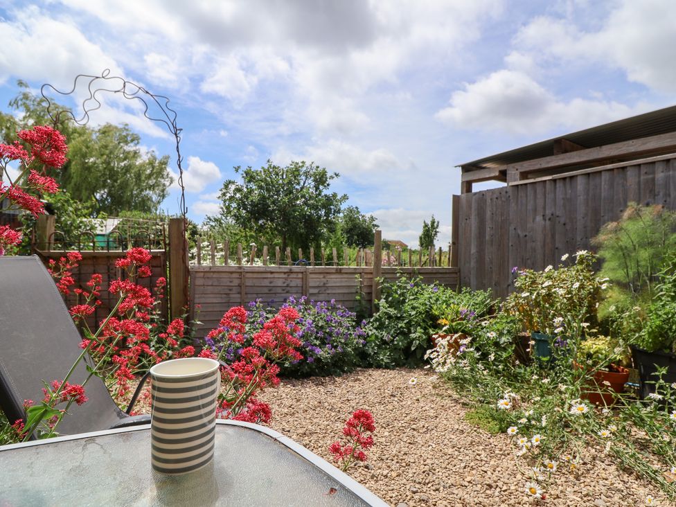 A garden with flowers and a table with a cup at Tiny Willow in Farrington near Child Okeford