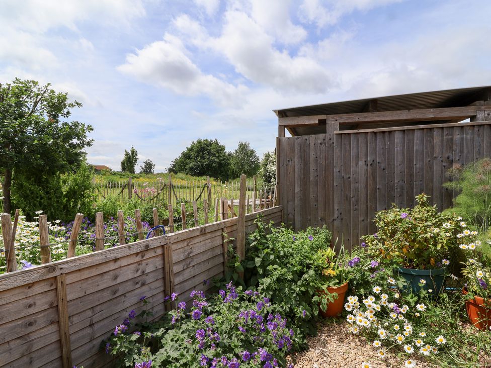 A garden with flowers and a wooden fence at Tiny Willow in Farrington near Child Okeford