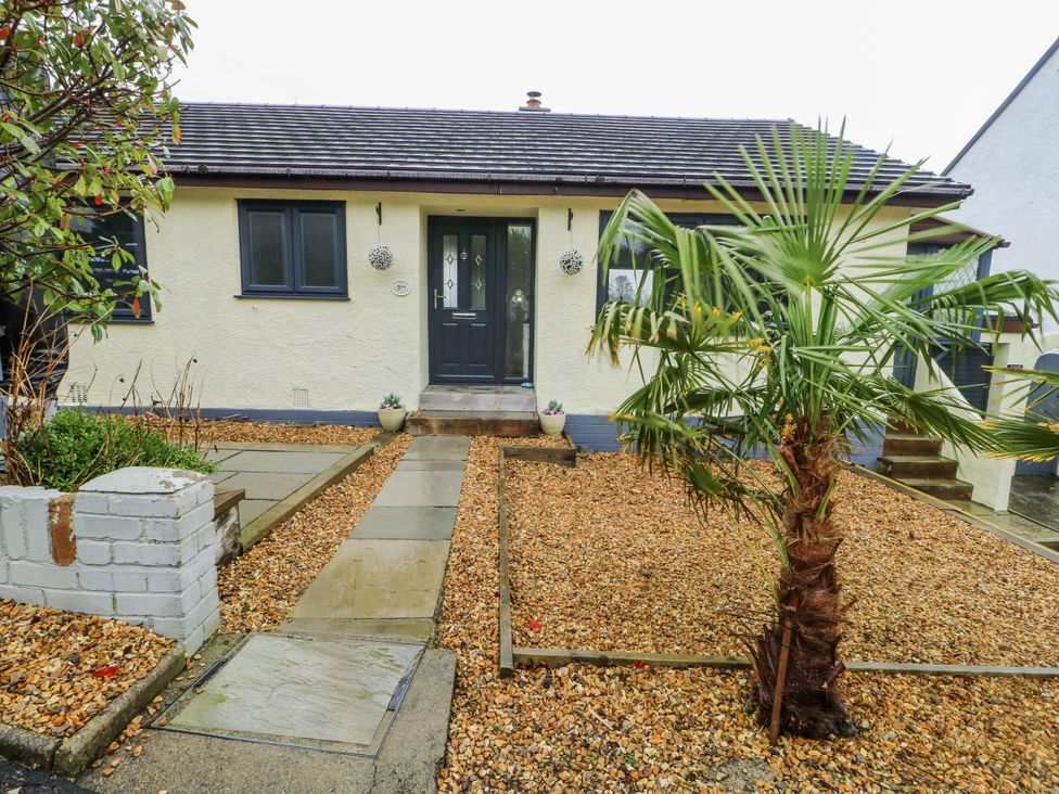 A house with a front door and palm tree at Daisy Cottage in Benllech