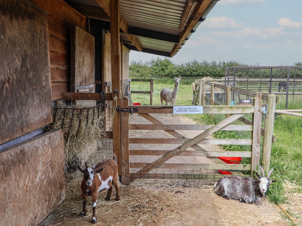 The Hay Barn - North Wales - 1051836 - thumbnail photo 39