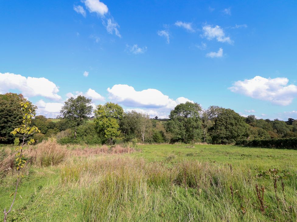 A field with trees and clouds at Embden Pod at Banwy Glamping Llanfair Caereinion