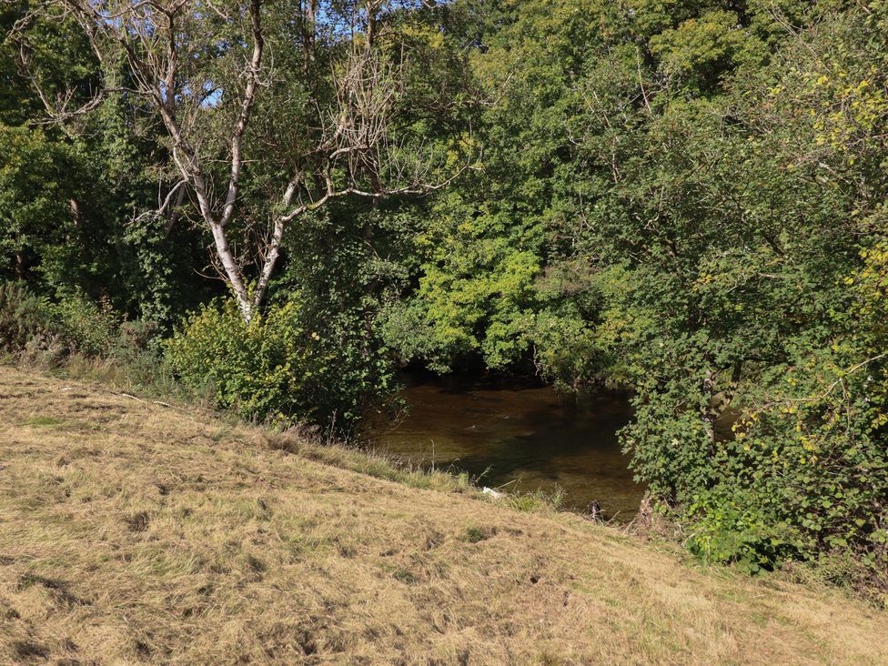 A river bordered by grass and trees at Embden Pod at Banwy Glamping, Llanfair Caereinion