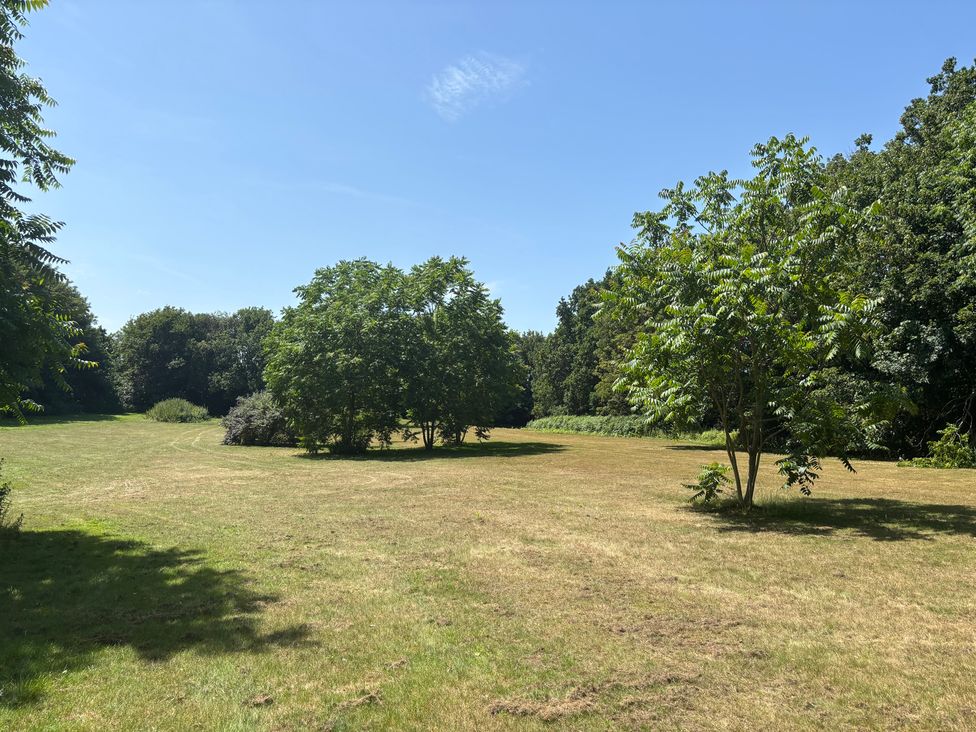 An open grassy area with trees at Claire Cottage in Gateforth near Hambleton, North Yorkshire