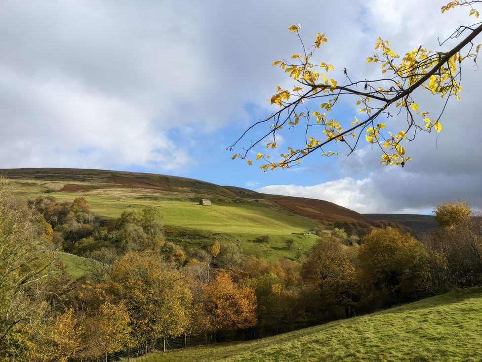 Castlewood Cottage - Yorkshire Dales - 1053592 - thumbnail photo 35