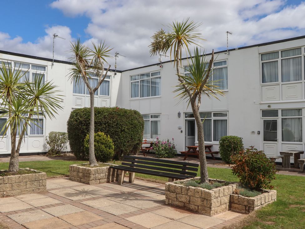 An outdoor area with palm trees and benches at Turtle Chalet in Dawlish Warren