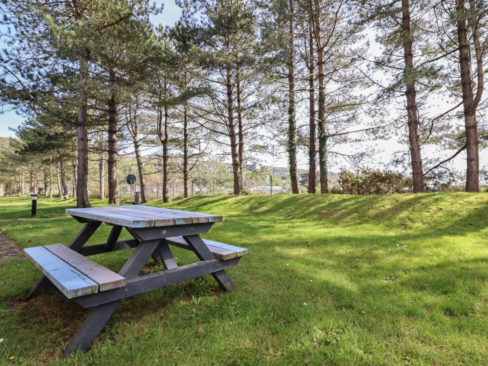 A picnic table in a grassy area surrounded by trees at Redwood in Harlech