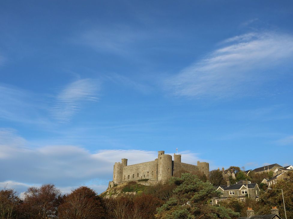A castle on a hill surrounded by trees and houses at Redwood, Harlech