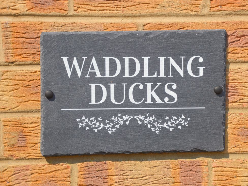 Waddling Ducks - Norfolk - 1054560 - thumbnail photo 3