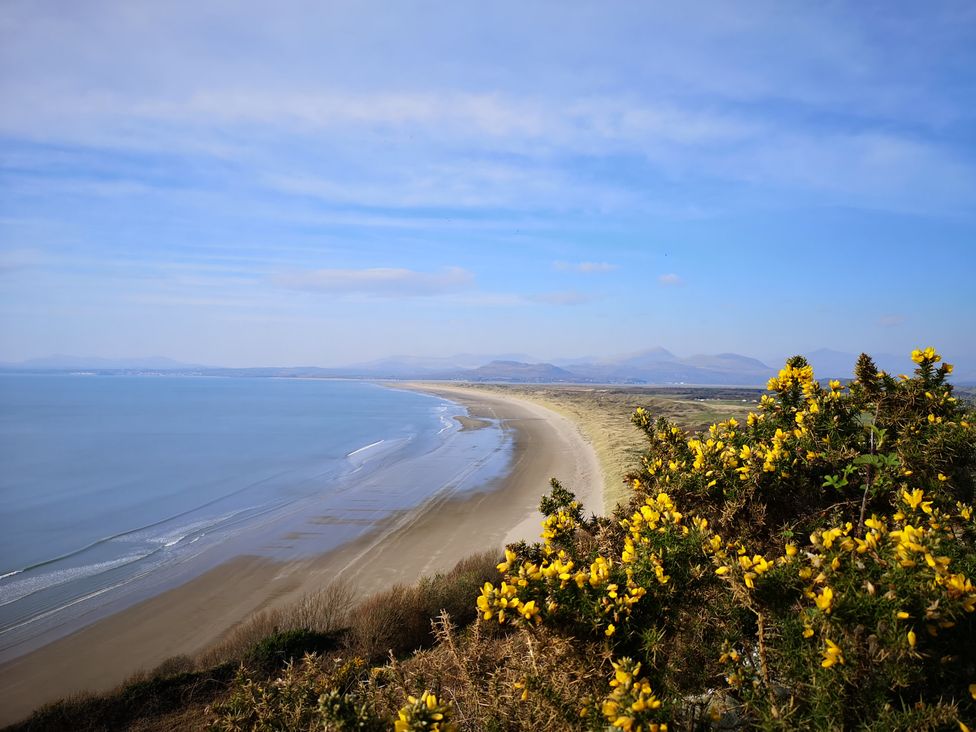 A coastal landscape with a sandy beach and yellow flowers on bushes in the foreground at Y Bwthyn in Llanbedr