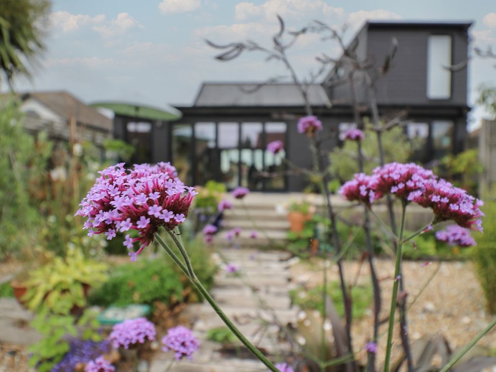 A garden with flowers and a building in the background at The Artists House by The Sea Herne Bay