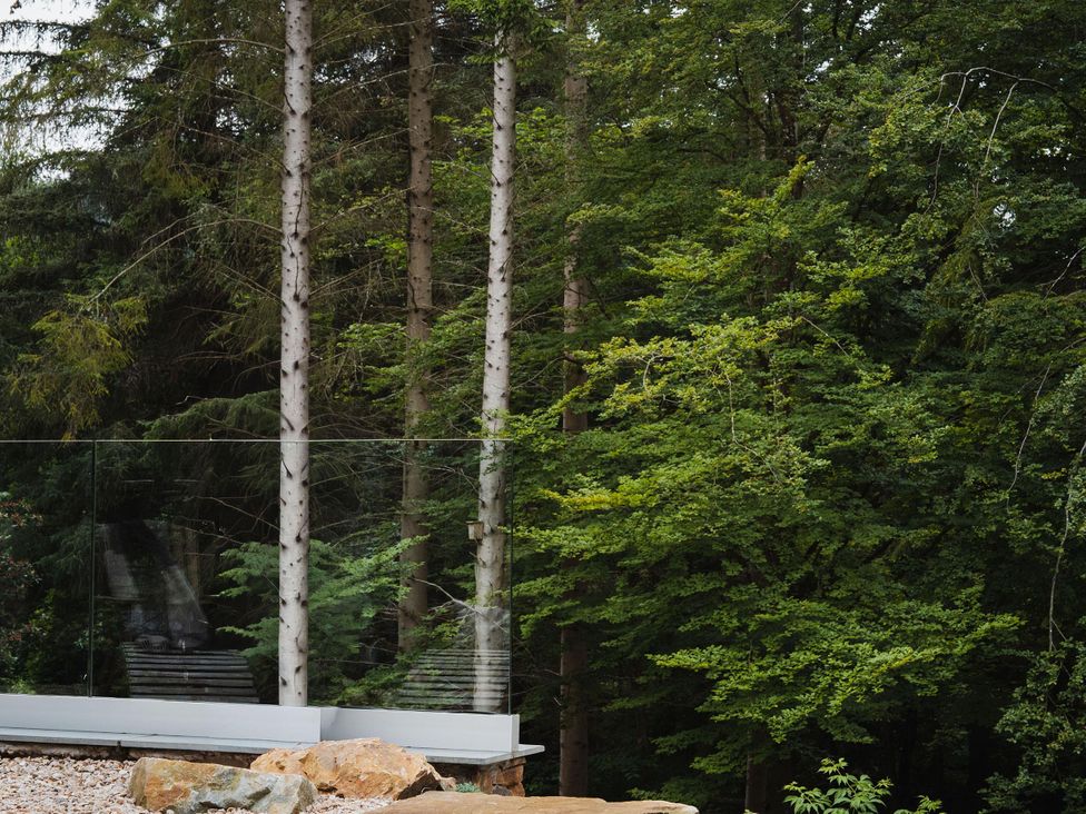 An outdoor view of trees and a glass railing at Heilan Roo in Killiecrankie near Pitlochry and Blair Atholl