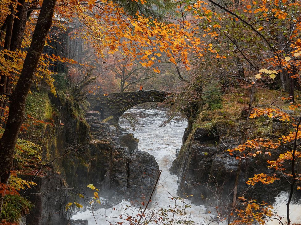 A bridge over a river in a forest with autumn leaves at Heilan Roo in Killiecrankie near Pitlochry and Blair Atholl