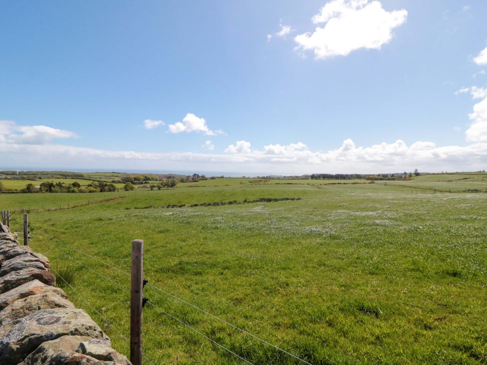 A scenic view of a field and stone wall at Wren Staintondale near Burniston