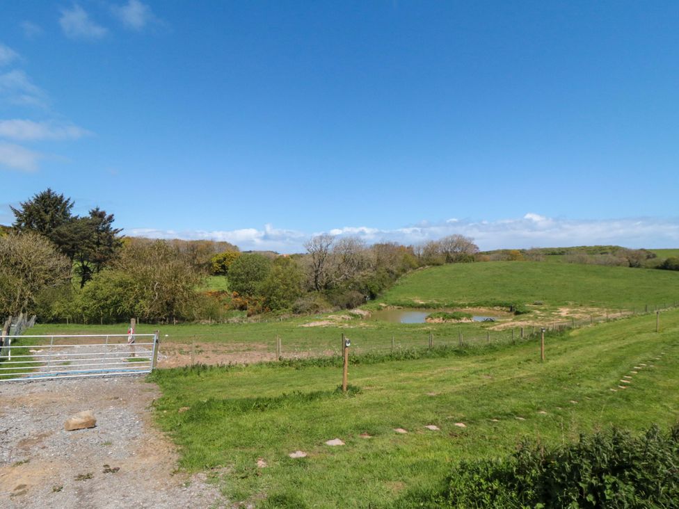 A grassy area with a pond and trees at Wren in Staintondale near Burniston