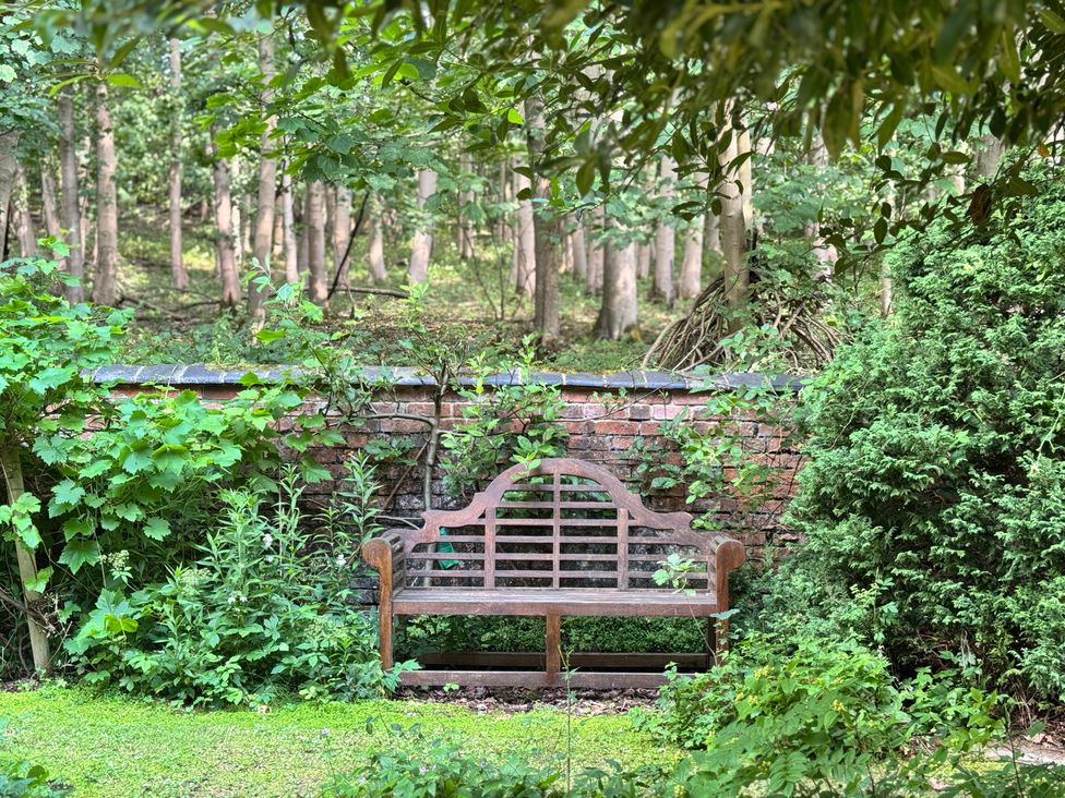 A bench surrounded by plants and trees at Sunny Cottage in Grantham
