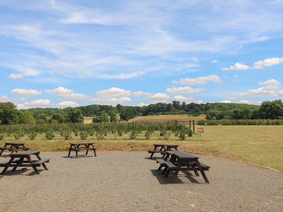 An outdoor area with picnic tables near a vineyard at Sunny Cottage in Grantham