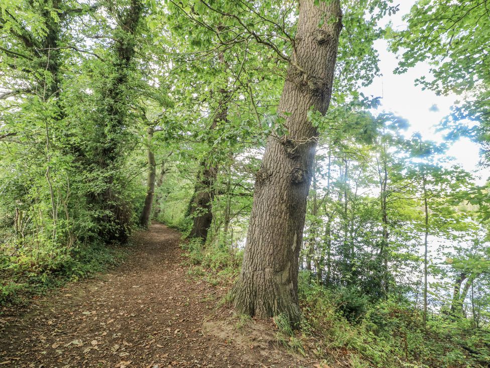 A forest path surrounded by trees at Corner House Cottage Mapperley Village