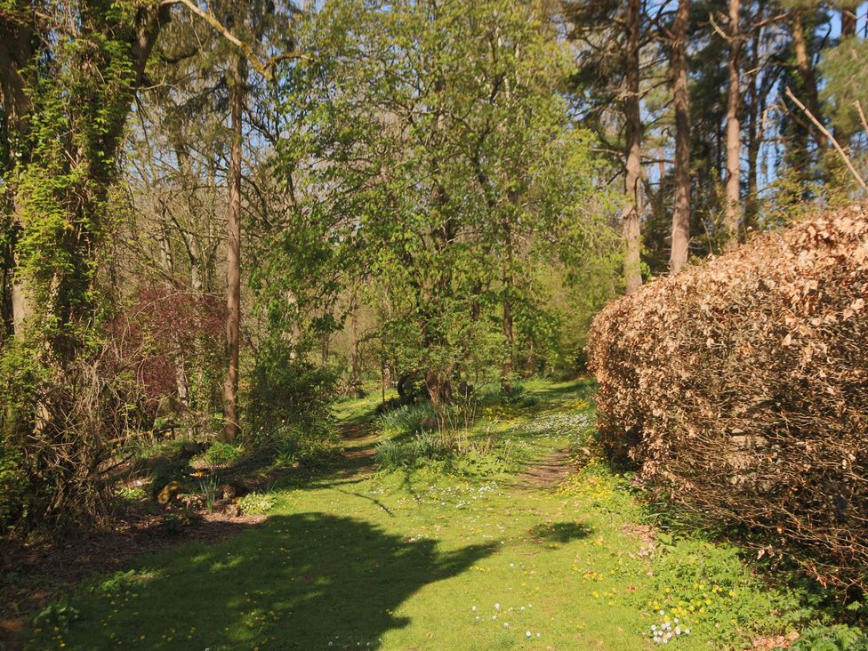 A garden with a path surrounded by trees and bushes at The Old Bakery South Perrott near Mosterton