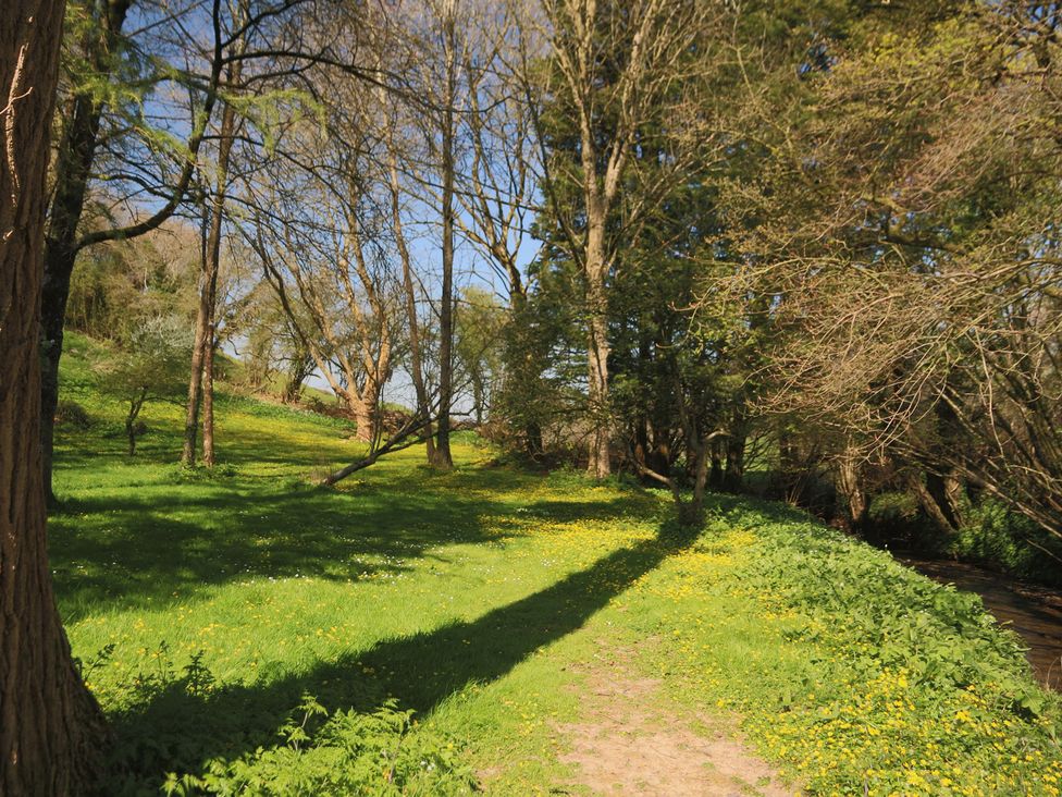 A grassy area with trees and a stream at The Old Bakery South Perrott near Mosterton