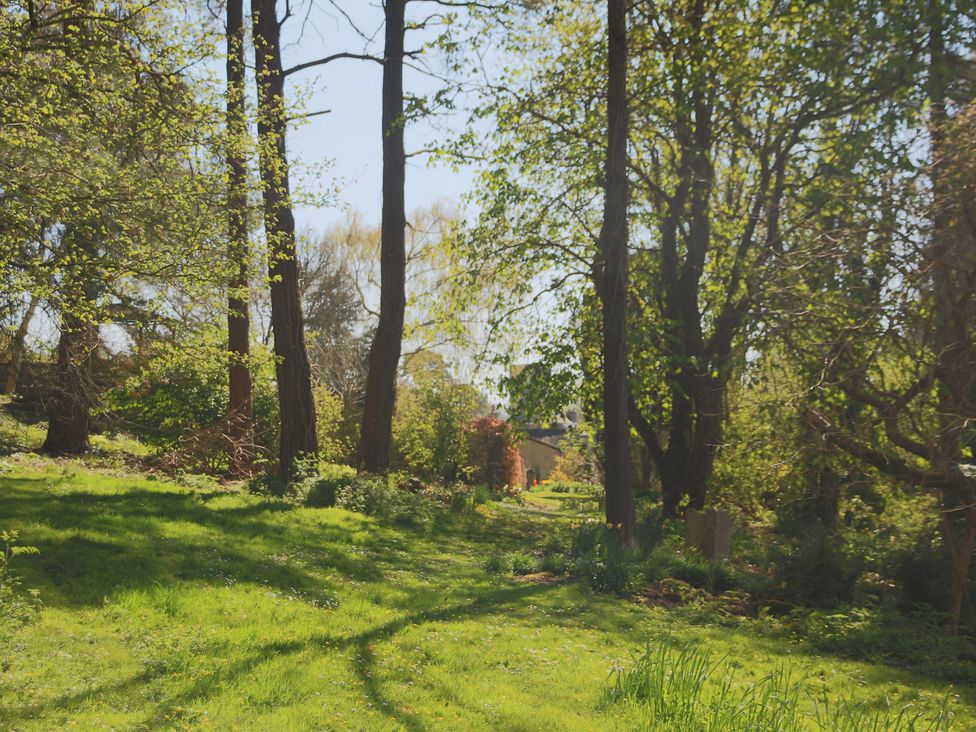 A scenic garden with trees and a path at The Old Bakery South Perrott near Mosterton