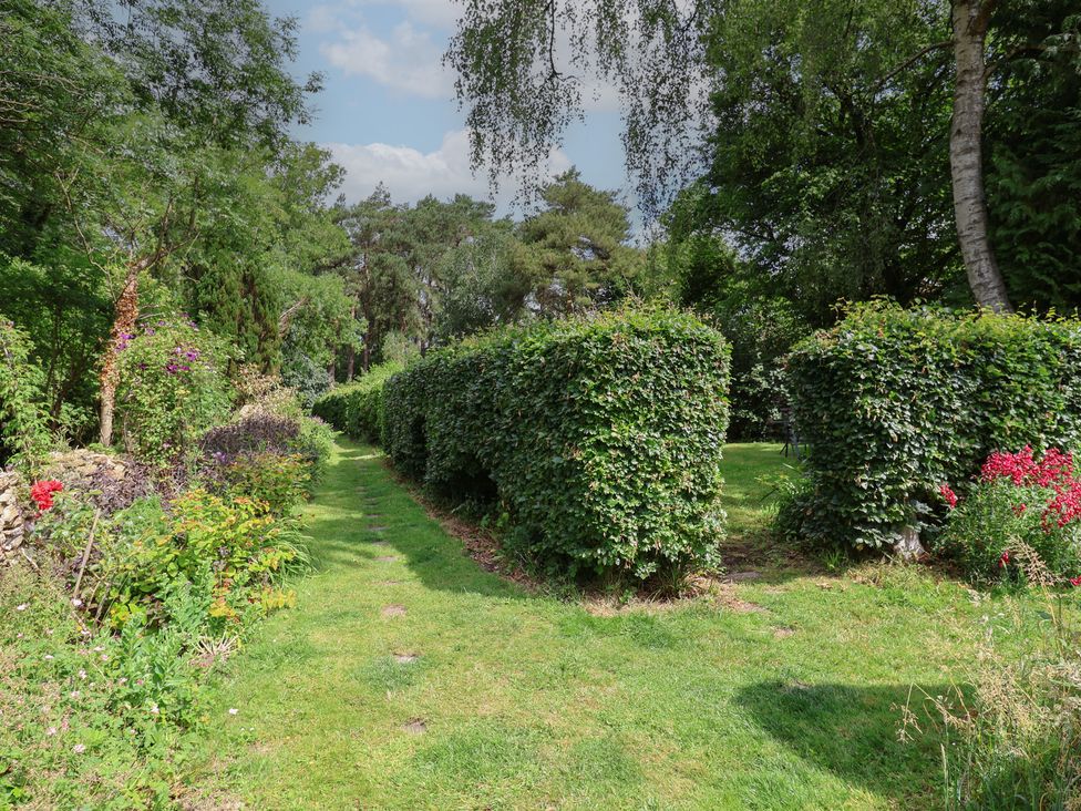 A garden path with hedges and flowers at The Old Bakery South Perrott near Mosterton