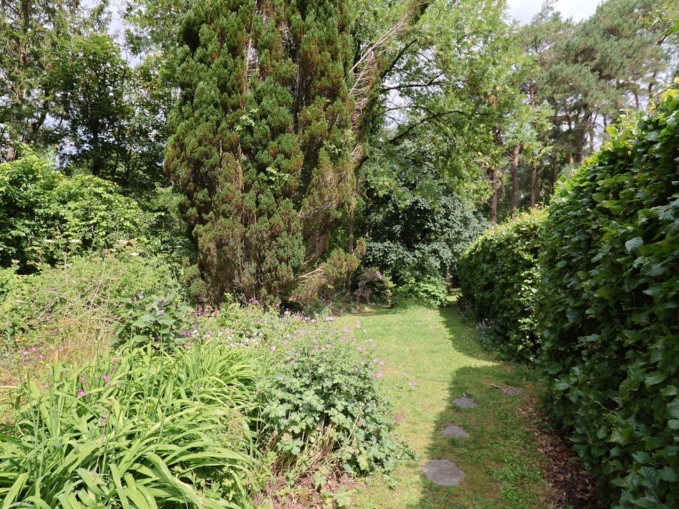 A garden with a path surrounded by flowers and hedges at The Old Bakery South Perrott near Mosterton