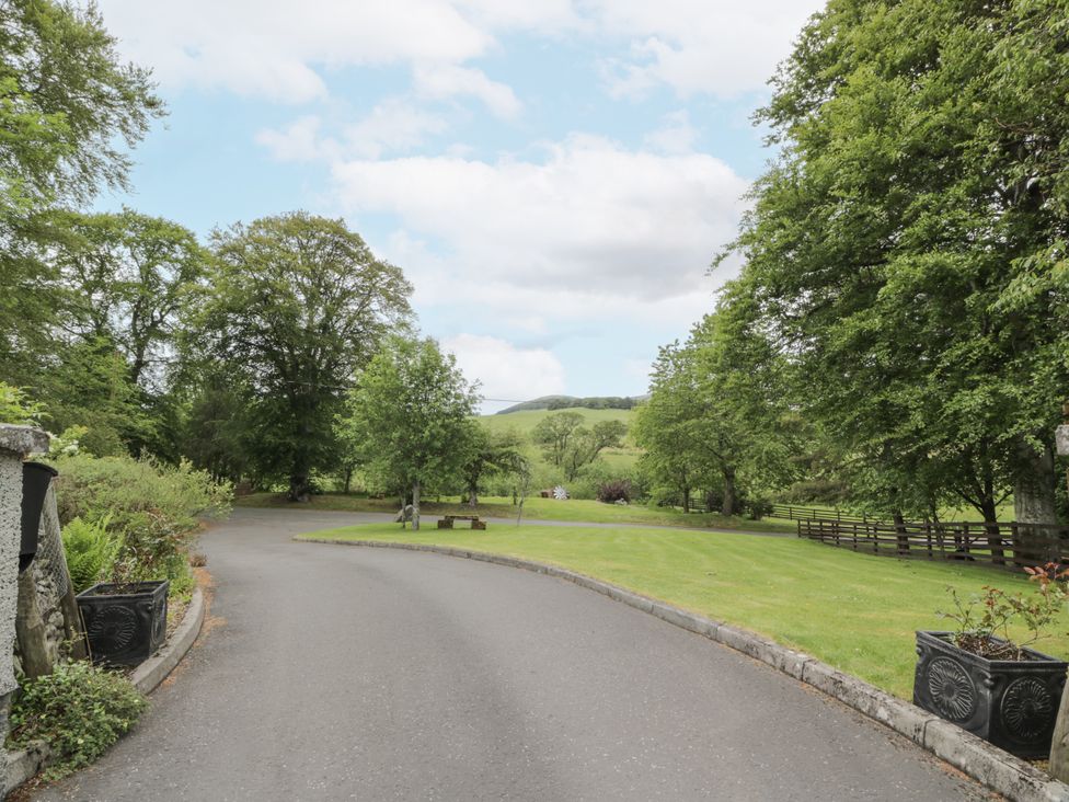 A road surrounded by trees and grass at Torview House near Lyne Station