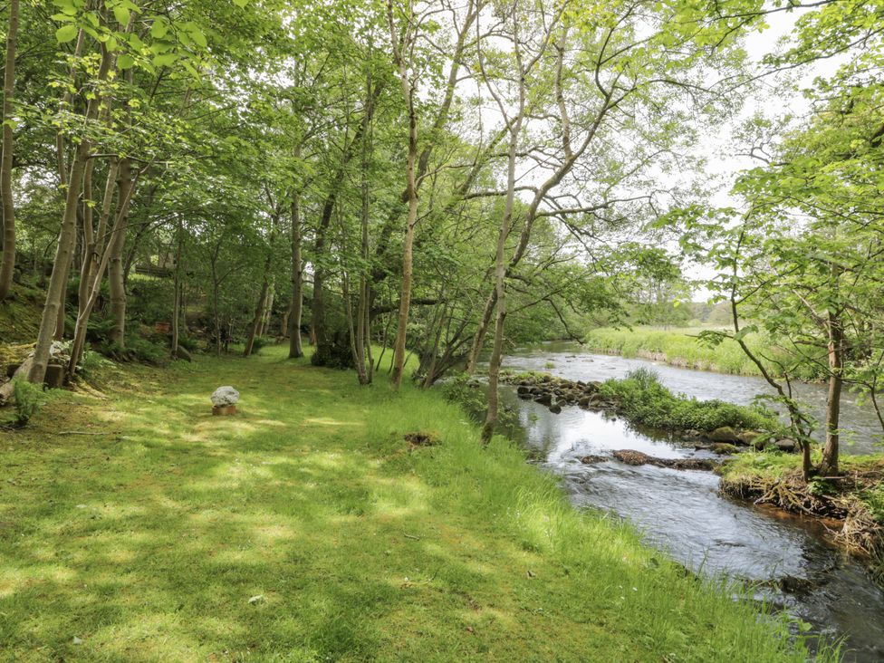 A stream flowing through trees and grass at Torview House in Lyne Station near Peebles