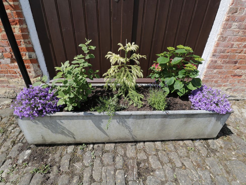 A flower bed with various plants at Coach House in Swindon