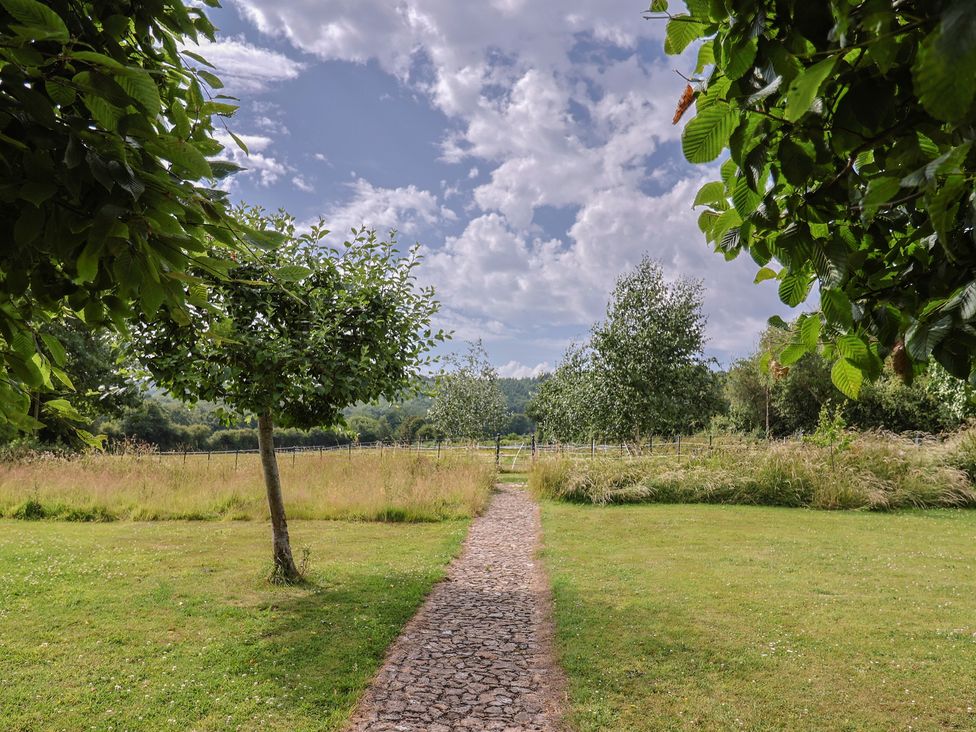 A pathway surrounded by trees in the garden at Garden View Wellington