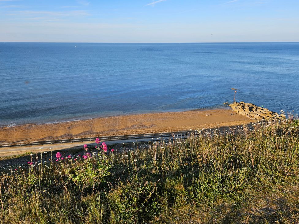 A view of the sea with a sandy beach and a rocky jetty with flowers in the foreground at Sandy Combe in West Bay